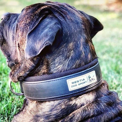 BESTIA DOG SPORT COLLAR