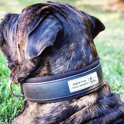 BESTIA DOG SPORT COLLAR